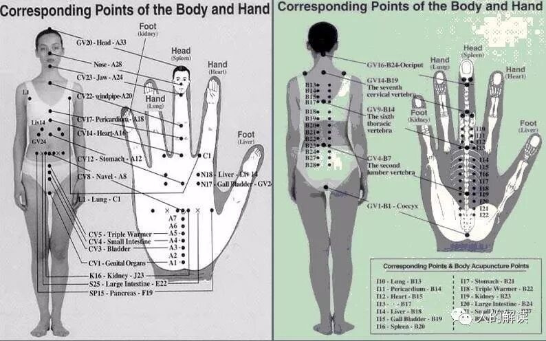 经络的全息特性，头痛医脚的道理原来是这样-人的解读