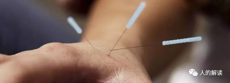 经络的全息特性，头痛医脚的道理原来是这样-人的解读