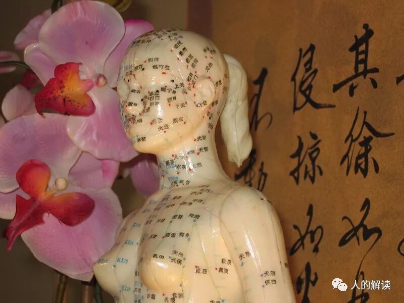 经络的全息特性，头痛医脚的道理原来是这样-人的解读