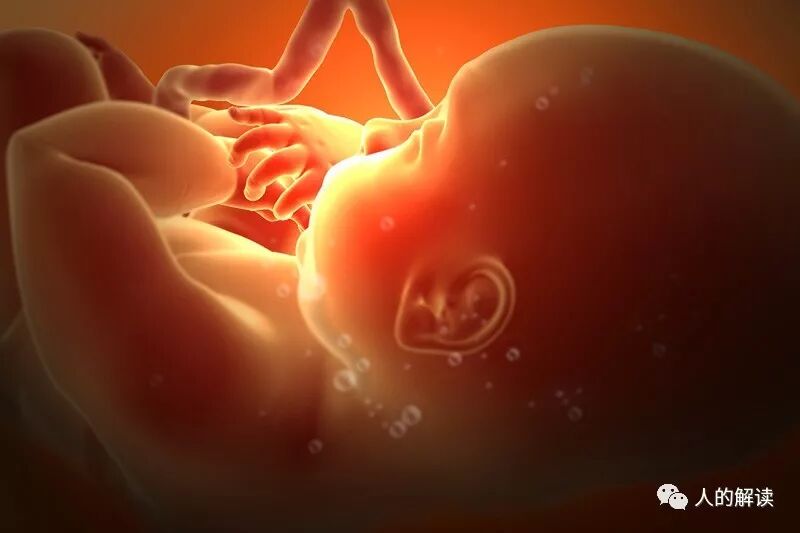 堕胎或流产的灵魂学解读-人的解读