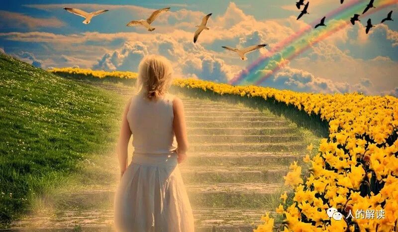 灵魂转生的目的-人的解读