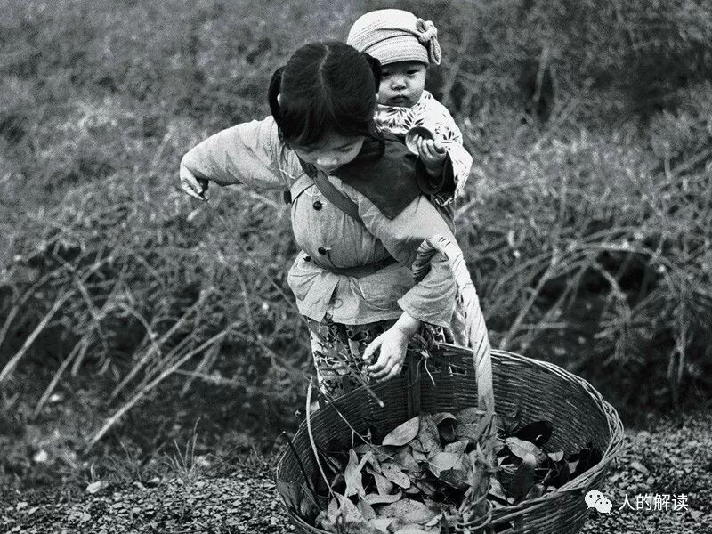 胡因梦的父母关系冲突，死后才学到的灵魂智慧-人的解读