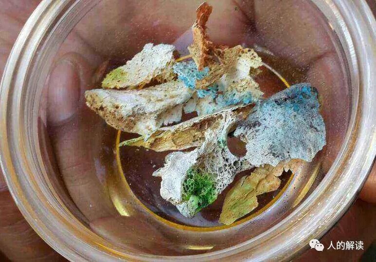 胡因梦的父母关系冲突，死后才学到的灵魂智慧-人的解读