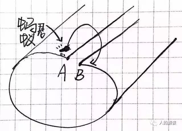 从三维时间的角度，谈谈为何未来是可以选择的-人的解读