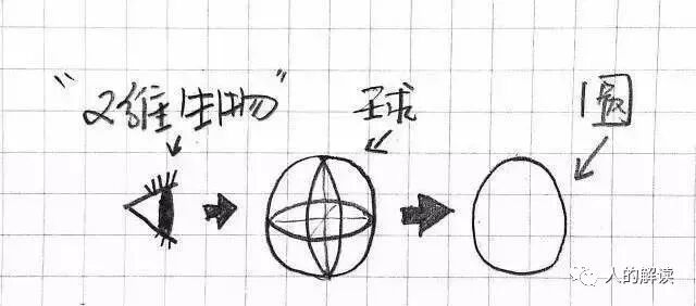 从三维时间的角度，谈谈为何未来是可以选择的-人的解读