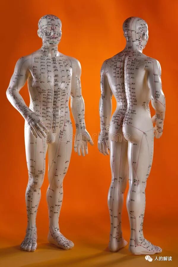 揭秘经络的电现象-人的解读