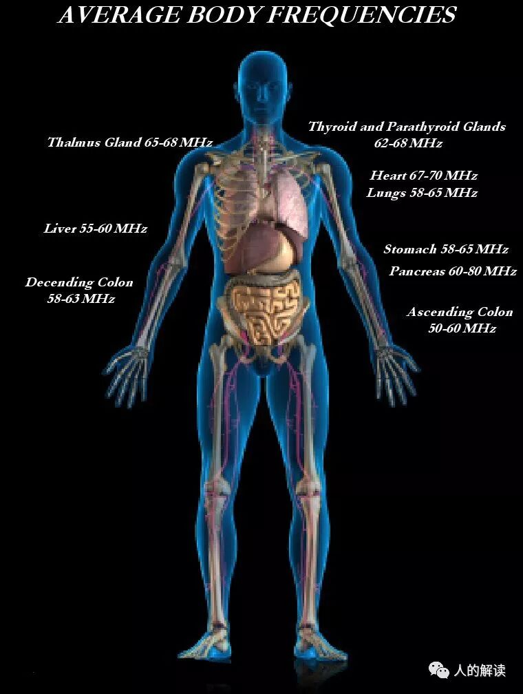 向穴位输入能量，为何也能治病？-人的解读