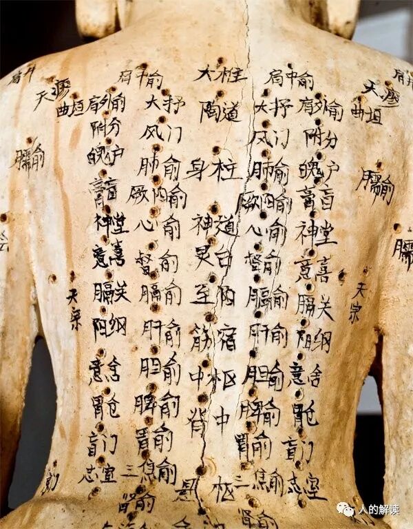 穴位有多大？经络有多宽？-人的解读