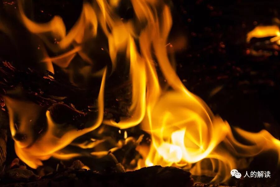 呼吸系统疾病的前世根源-人的解读