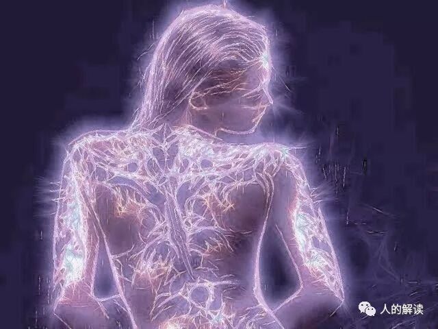 人体能量学的缘起-人的解读