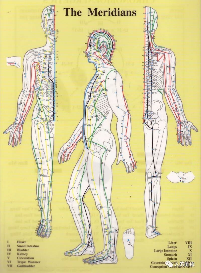 人体能量学的缘起-人的解读