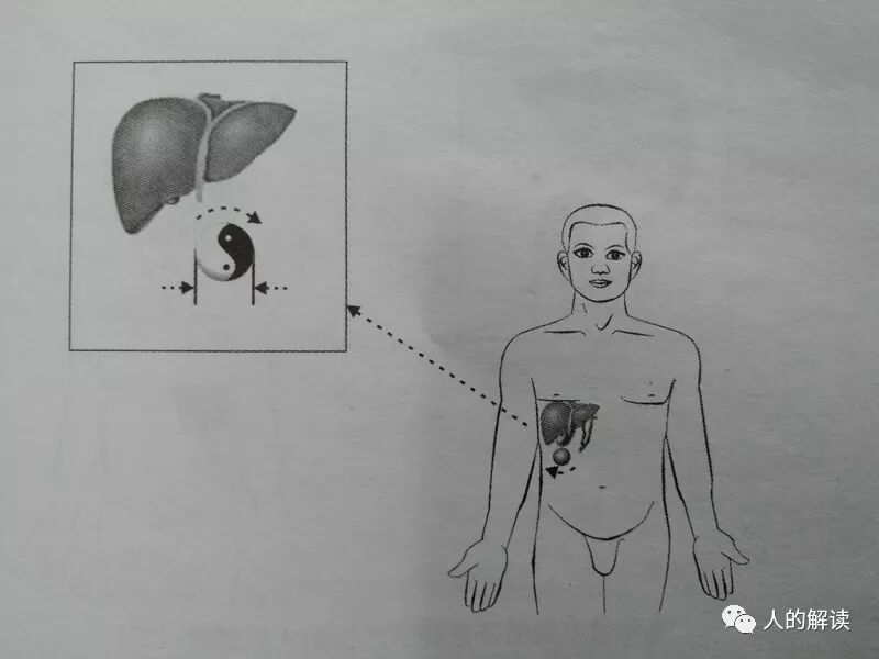 药物归经，这或许是中药和西药最大的区别-人的解读
