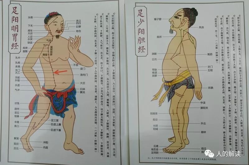 药物归经，这或许是中药和西药最大的区别-人的解读