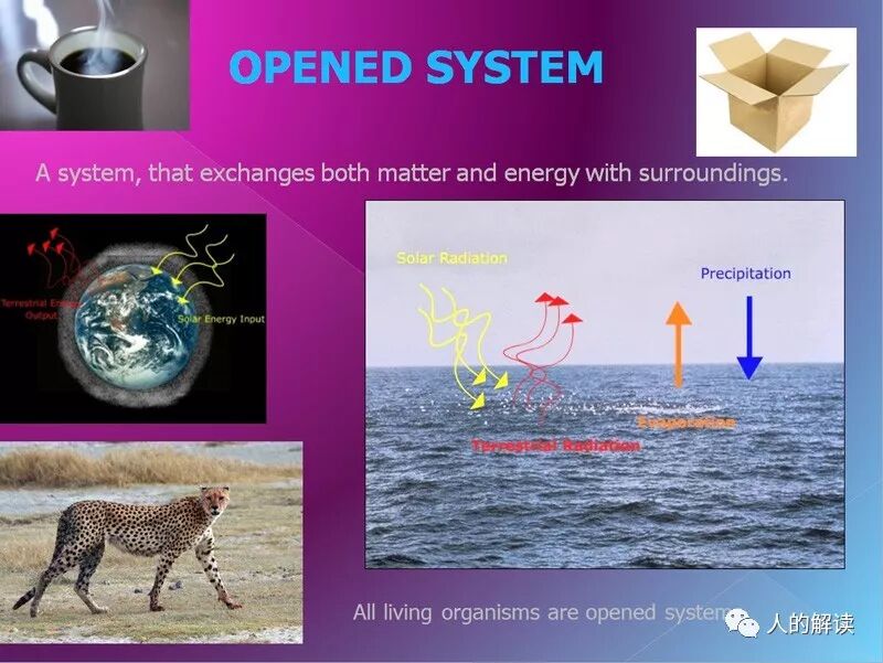 经络之所以解剖不着，原来因为它是耗散结构-人的解读