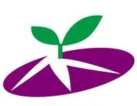 小苗伙伴_工业AI产品公司「深视科技」完成千万美金A轮融资