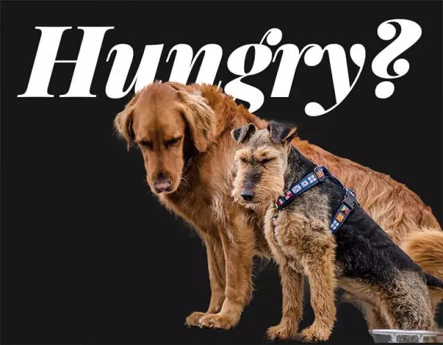 白色的ps参数_白色参数是多少_ps白色的参数是多少