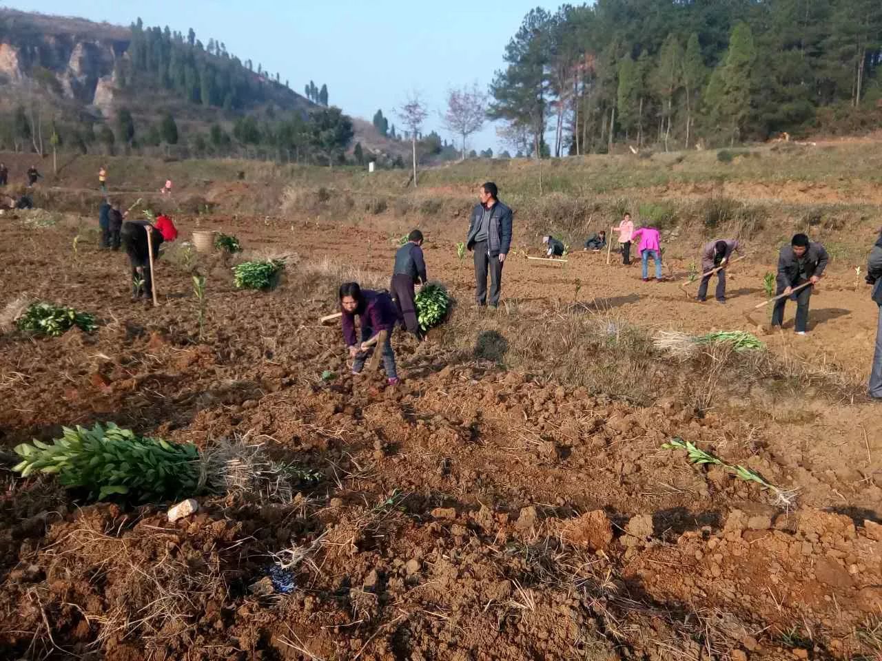 玉屏:村干部专职化提升脱贫攻坚即战力