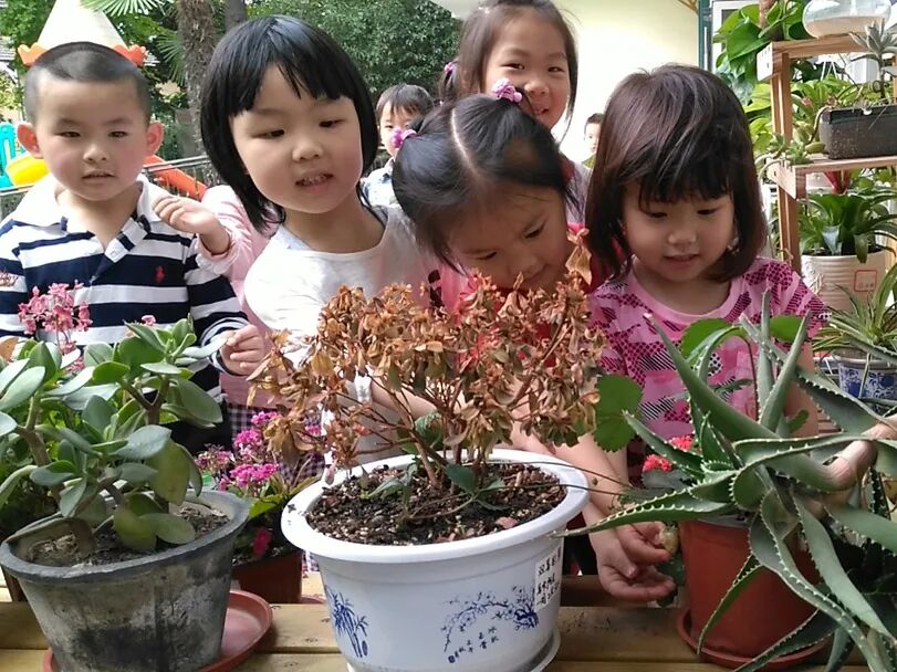 花园幼儿园丨园际联盟同进步，培育孩子喜欢的好老师相关资料 22