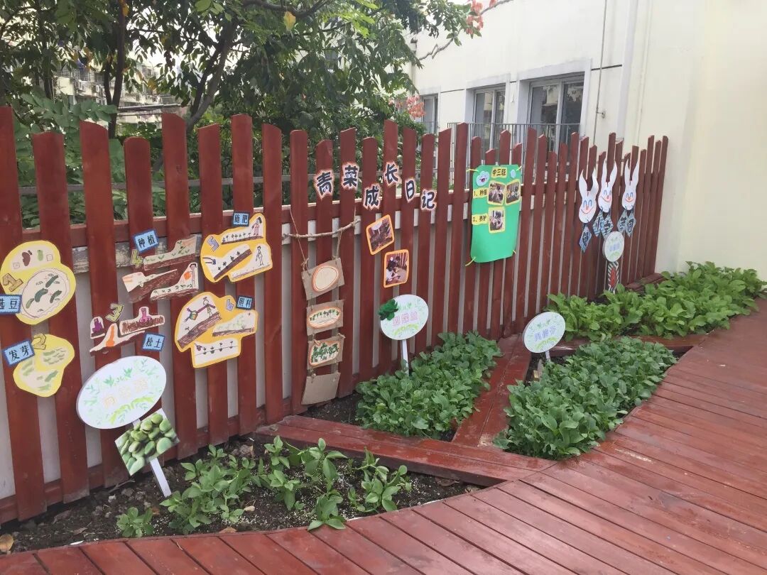 花园幼儿园丨园际联盟同进步，培育孩子喜欢的好老师相关资料 8