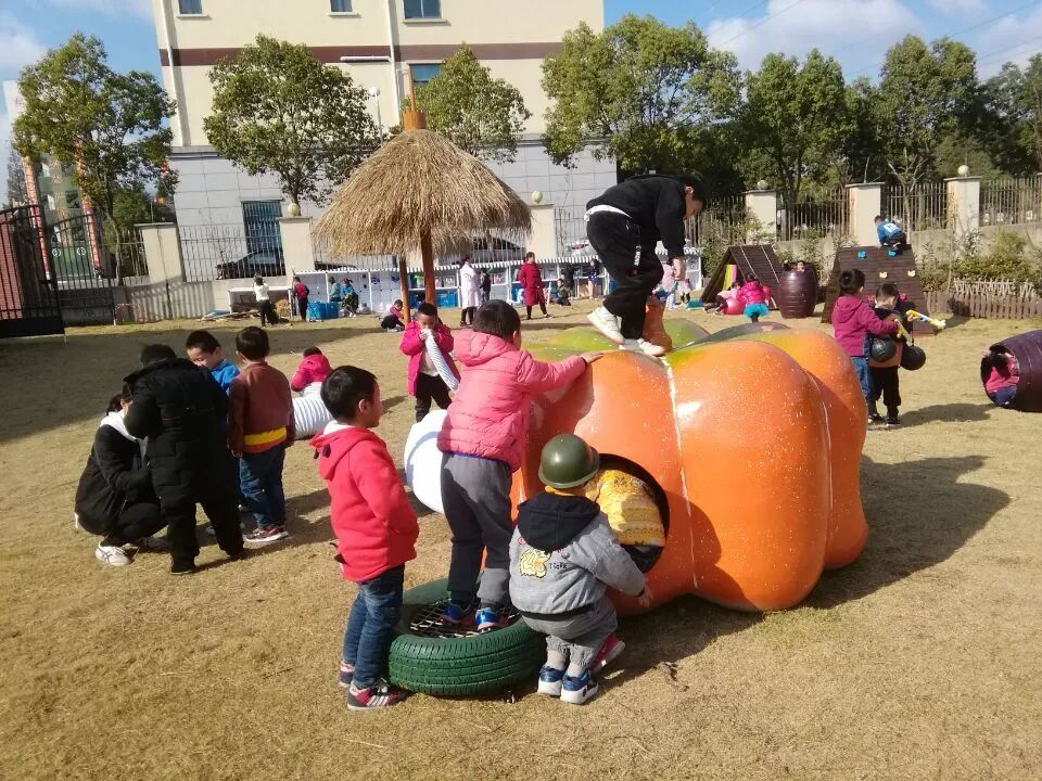 泖港镇中心幼儿园丨立足本土，回归自然，点亮农村娃的幸福童年相关资料 22