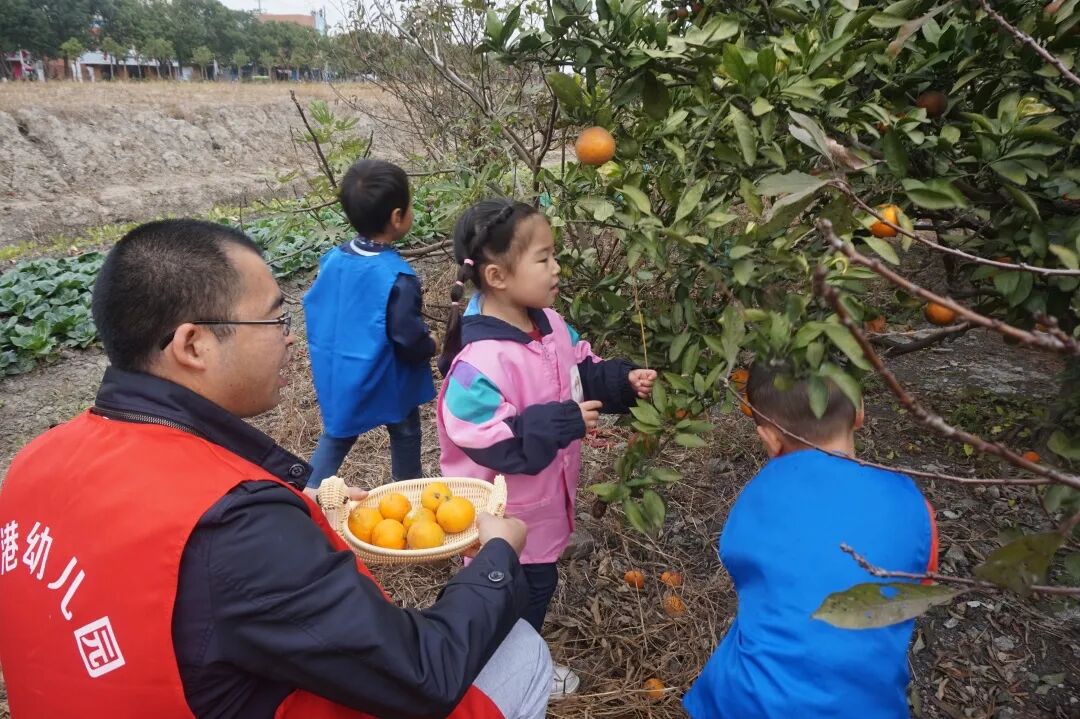 泖港镇中心幼儿园丨立足本土，回归自然，点亮农村娃的幸福童年相关资料 24