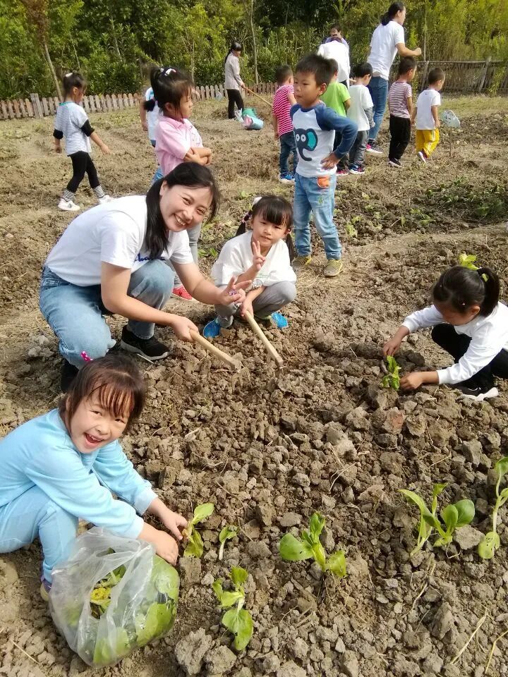 泖港镇中心幼儿园丨立足本土，回归自然，点亮农村娃的幸福童年相关资料 37