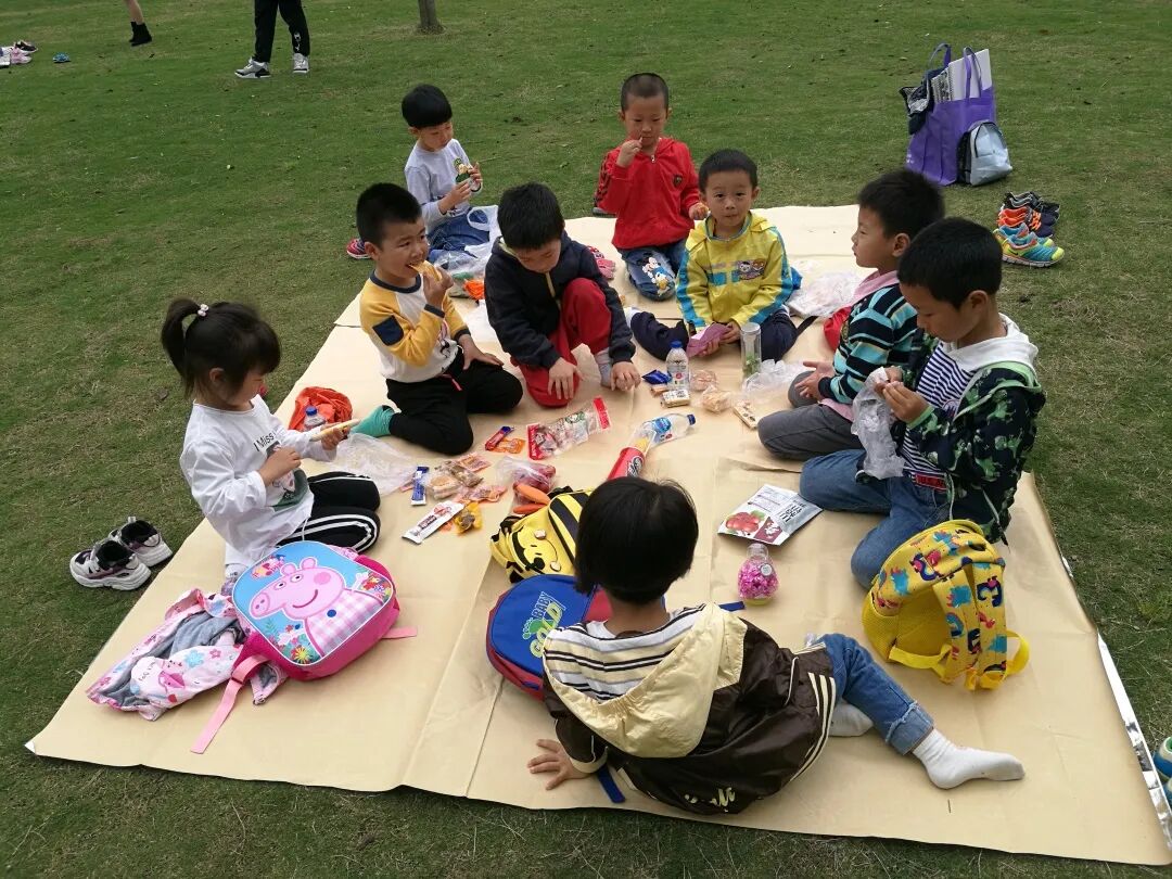 泖港镇中心幼儿园丨立足本土，回归自然，点亮农村娃的幸福童年相关资料 40