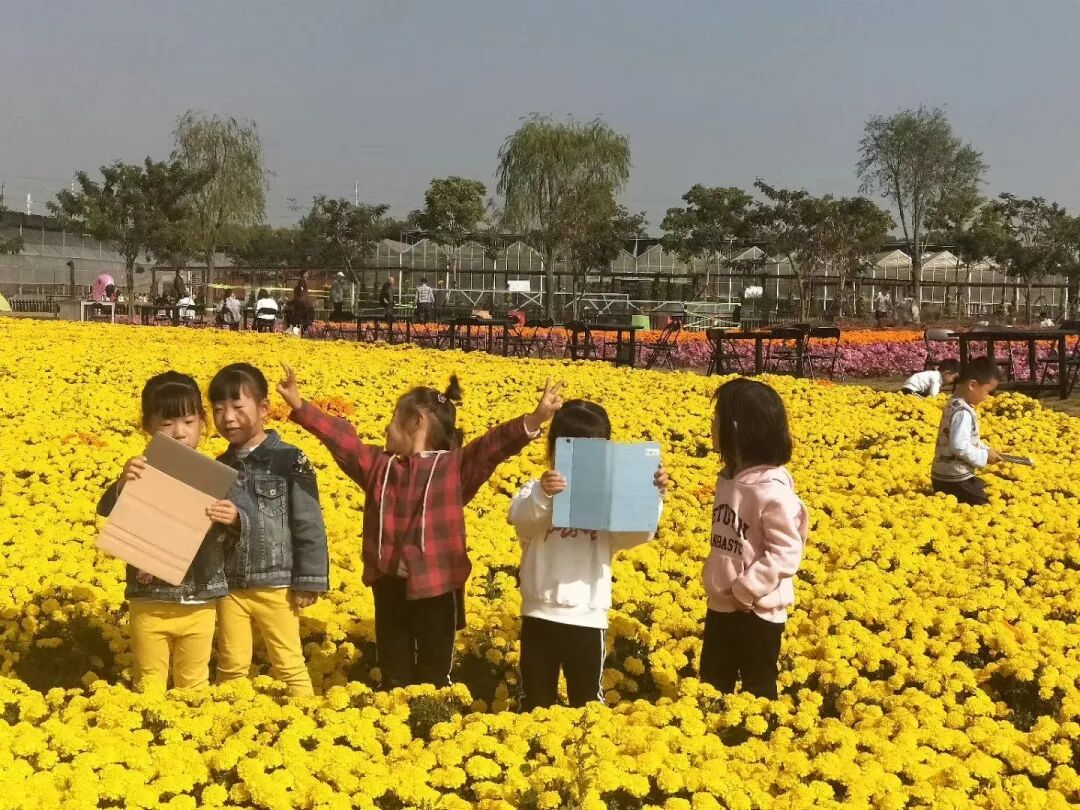 泖港镇中心幼儿园丨立足本土，回归自然，点亮农村娃的幸福童年相关资料 12