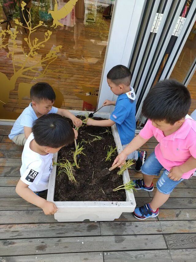 泖港镇中心幼儿园丨立足本土，回归自然，点亮农村娃的幸福童年相关资料 44