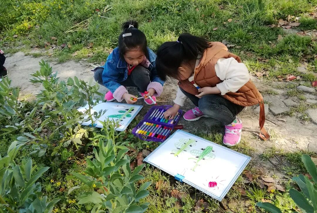 泖港镇中心幼儿园丨立足本土，回归自然，点亮农村娃的幸福童年相关资料 42
