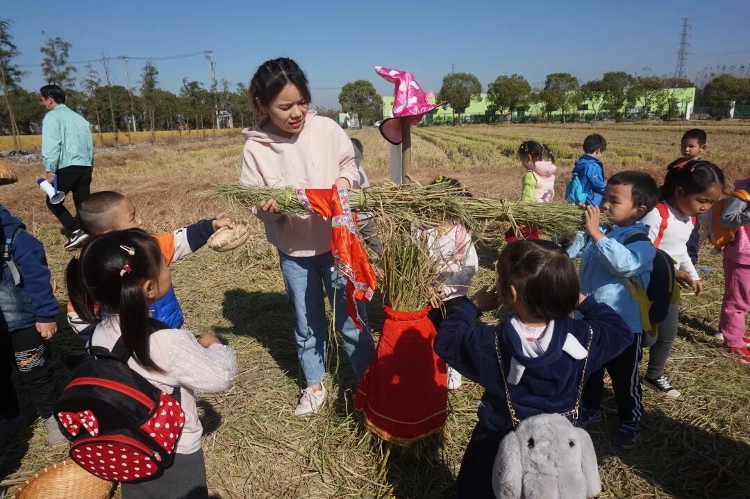 泖港镇中心幼儿园丨立足本土，回归自然，点亮农村娃的幸福童年相关资料 29