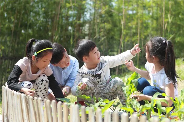 加强特色品牌建设，促进幼儿身心和谐全面发展相关资料 11