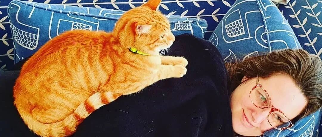 脚踩两条船“渣猫”实锤，大橘竟背着主人在外面有了第二个家...