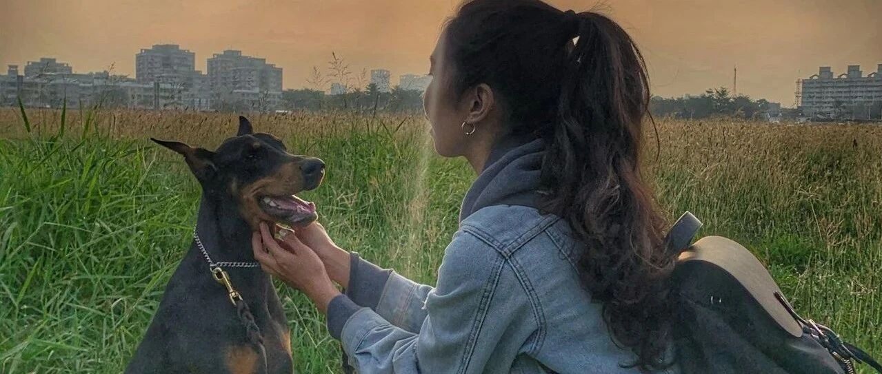 与杜宾犬深情告白：你永远回馈我更多的爱，结果隔天网友就见悲惨一幕直接笑喷！