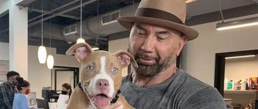 可怜幼犬的事引起众愤，猛男知晓后决定带它回家：“我保护你！”