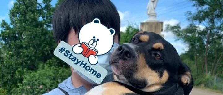 流浪狗自己选主人，最后还嫌弃主人了！主人：“我也太难了吧！”