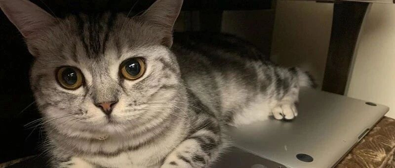 女生吃完沙拉刚进厨房，立马见到眼熟厨具瞬间崩溃：谁能救救我！