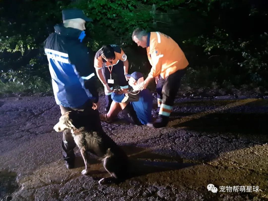 越野選手山區不慎跌斷骨，流浪狗一個舉動救了他一命！ 寵物 第2張