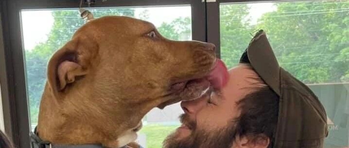 连车带狗竟一起被偷，主人：其他不重要，只要狗回来...