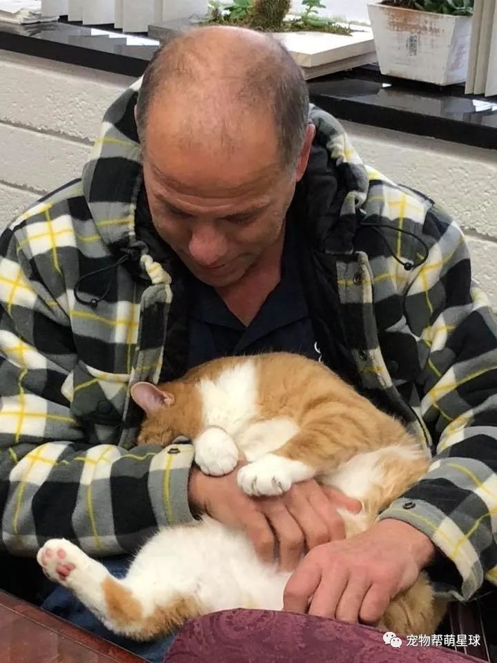 高顏值橘貓被棄養，收容所員工：它只想睡在大腿上撒嬌，有錯嗎？ 萌寵 第6張