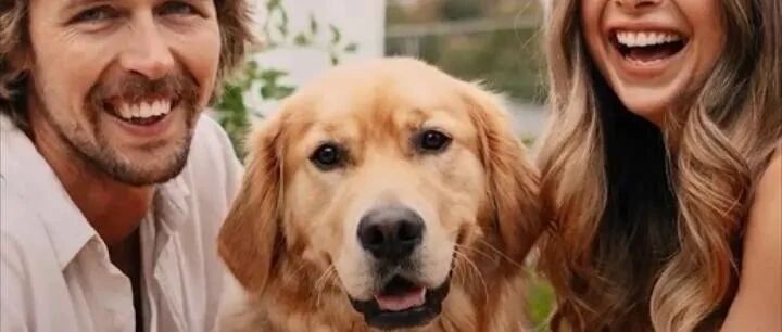 大金毛看到主人求婚，立马疯了一样狂奔，太抢镜了！