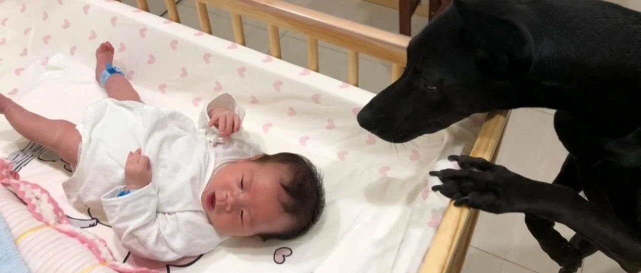 妈出房门拿新尿布，结果回来发现妹妹便便离奇消失，眼睛一瞥竟见让人崩溃一幕…