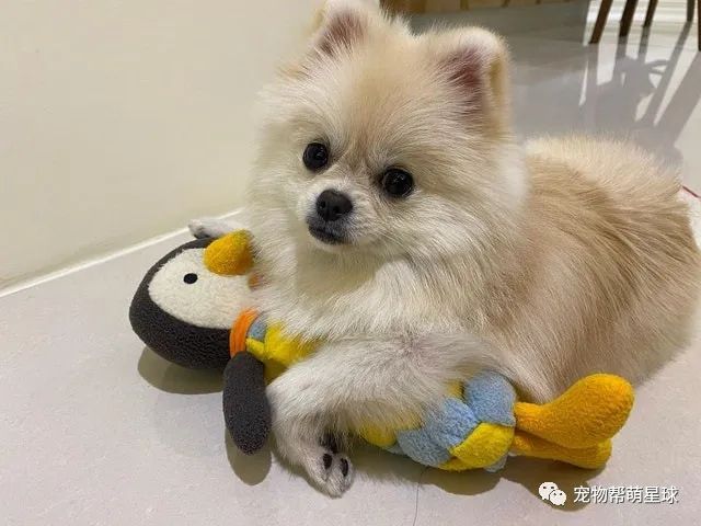 买的新鲜蔬菜,隔天菜没烂却意外出现各种洞,妈查明真相后,竟当场崩溃…-微信头条网 买的新鲜蔬菜,隔天菜没烂却意外出现各种洞,妈查明真相后,竟当场崩溃…