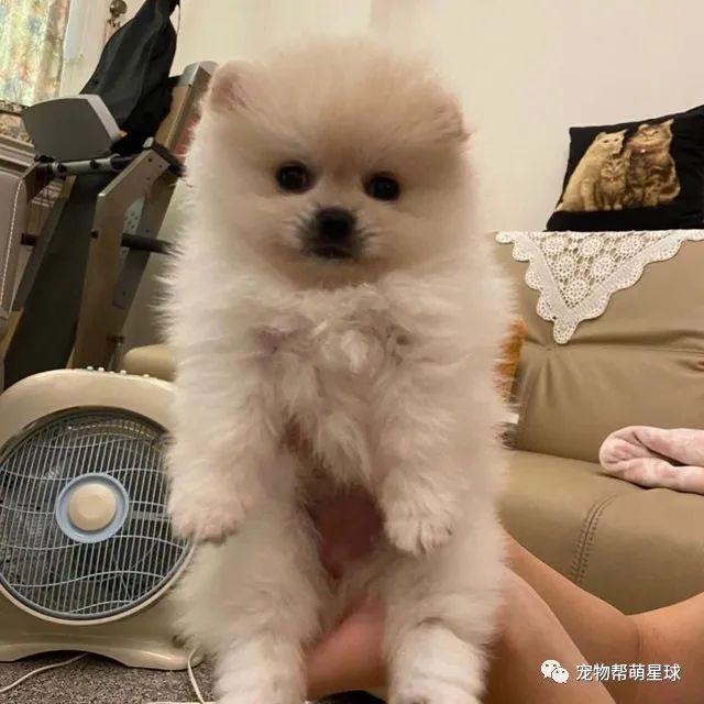 买的新鲜蔬菜,隔天菜没烂却意外出现各种洞,妈查明真相后,竟当场崩溃…-微信头条网 买的新鲜蔬菜,隔天菜没烂却意外出现各种洞,妈查明真相后,竟当场崩溃…