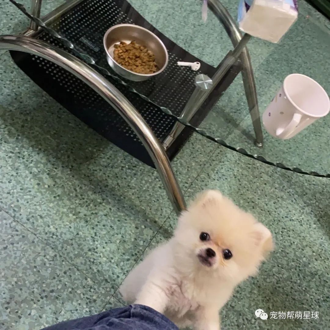 买的新鲜蔬菜,隔天菜没烂却意外出现各种洞,妈查明真相后,竟当场崩溃…-微信头条网 买的新鲜蔬菜,隔天菜没烂却意外出现各种洞,妈查明真相后,竟当场崩溃…