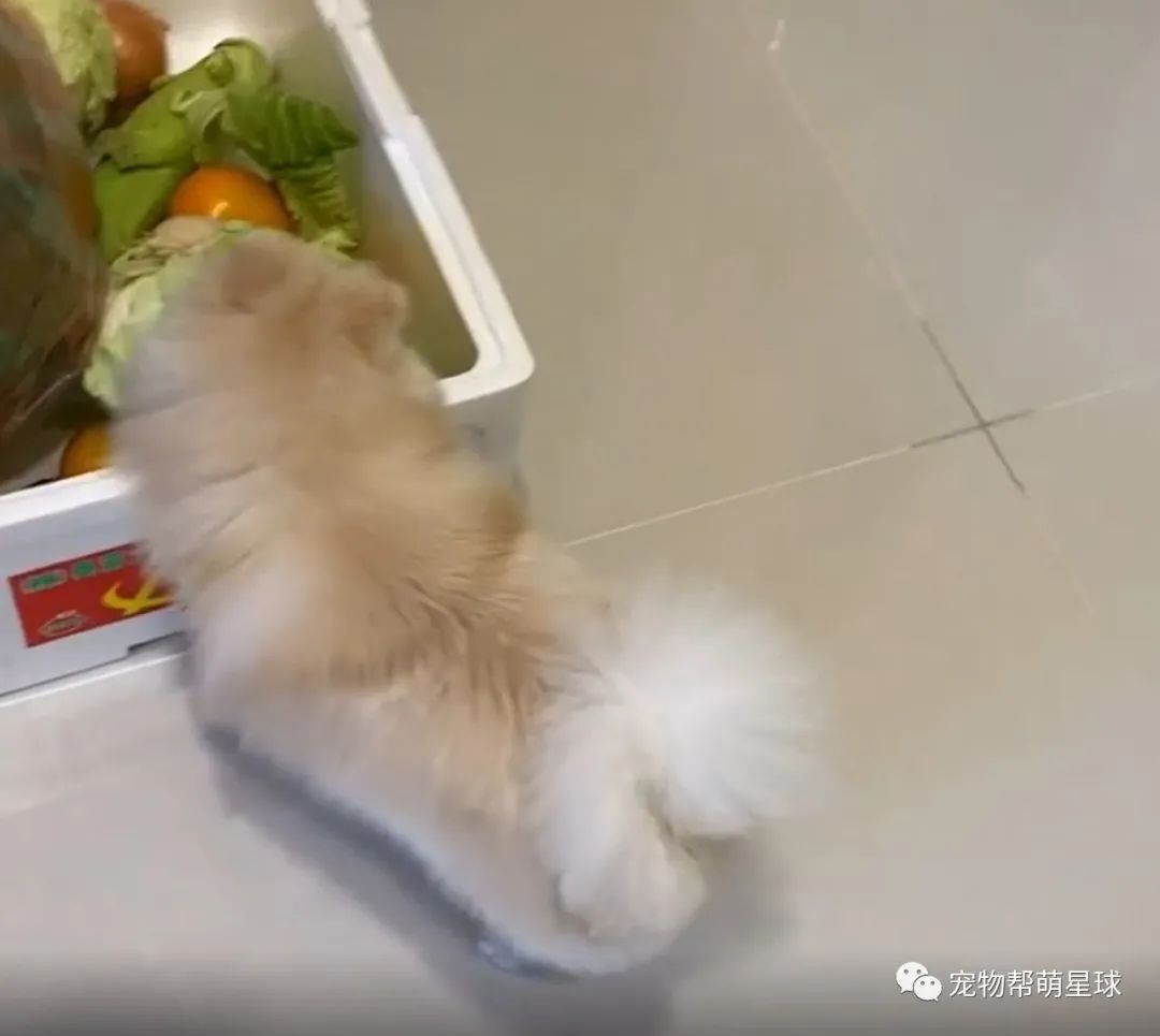 买的新鲜蔬菜,隔天菜没烂却意外出现各种洞,妈查明真相后,竟当场崩溃…-微信头条网 买的新鲜蔬菜,隔天菜没烂却意外出现各种洞,妈查明真相后,竟当场崩溃…