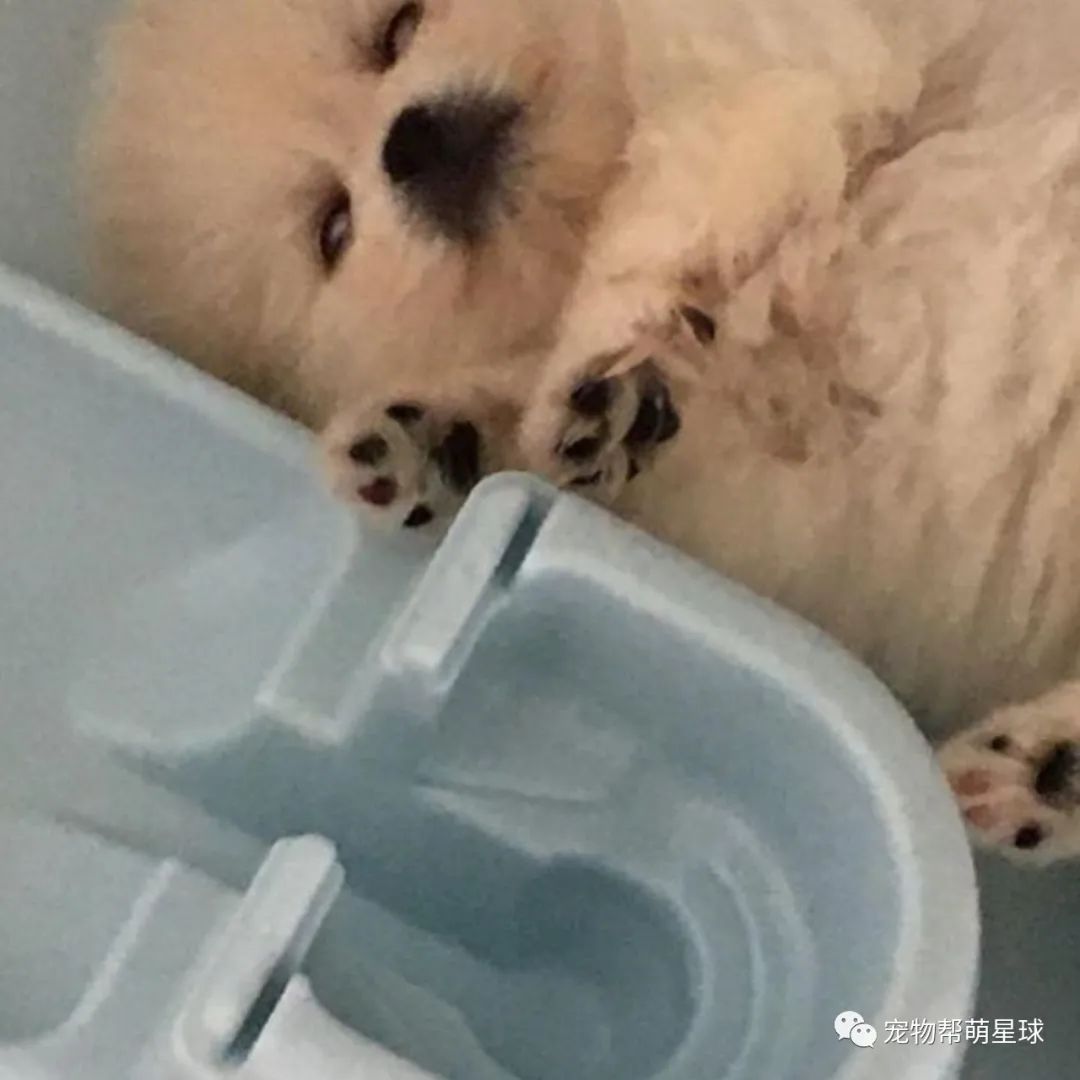 买的新鲜蔬菜,隔天菜没烂却意外出现各种洞,妈查明真相后,竟当场崩溃…-微信头条网 买的新鲜蔬菜,隔天菜没烂却意外出现各种洞,妈查明真相后,竟当场崩溃…
