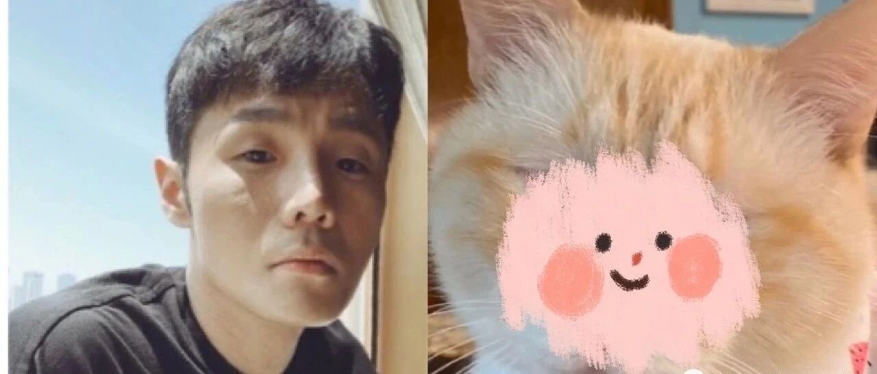 小眼橘猫撞脸明星突然大火，李荣浩:分明蹭我热度！