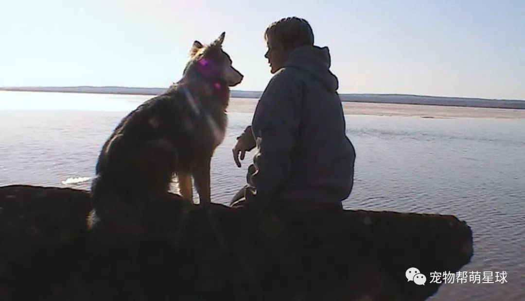 愛犬要被安樂，媽在夏天自制一場大雪為它圓夢，最後還作出讓所有人感動的選擇 寵物 第25張