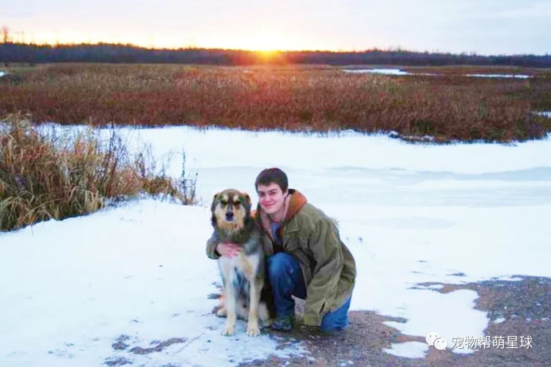 愛犬要被安樂，媽在夏天自制一場大雪為它圓夢，最後還作出讓所有人感動的選擇 寵物 第3張